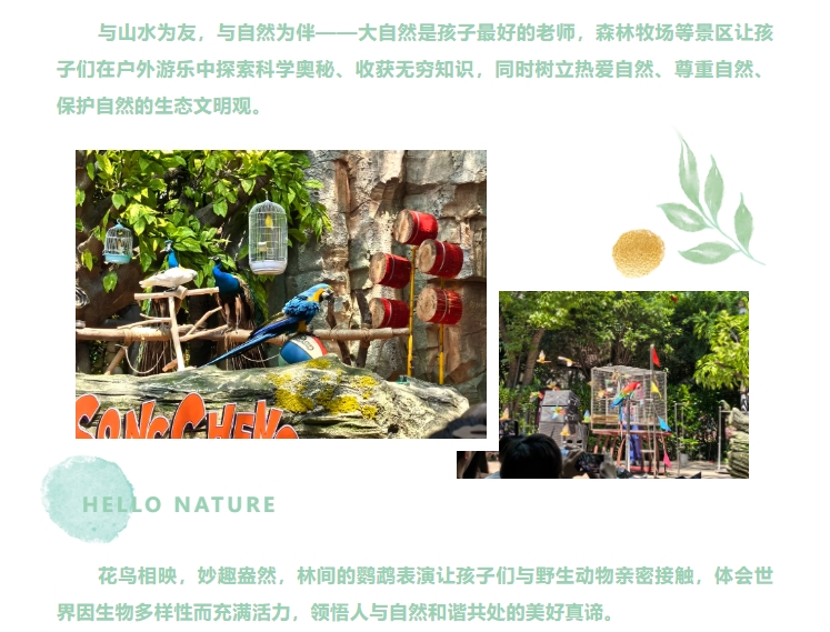 尋味滬上“千古情”——新考思莫施電子（上海）有限公司家庭日活動(dòng)(圖4)